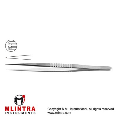 Micro Pierse Forcep Stainless Steel, 15 cm - 6" Diameter 0.40 mm Micro Pierse Forcep Stainless Steel, 15 cm - 6" Diameter 0.40 mm